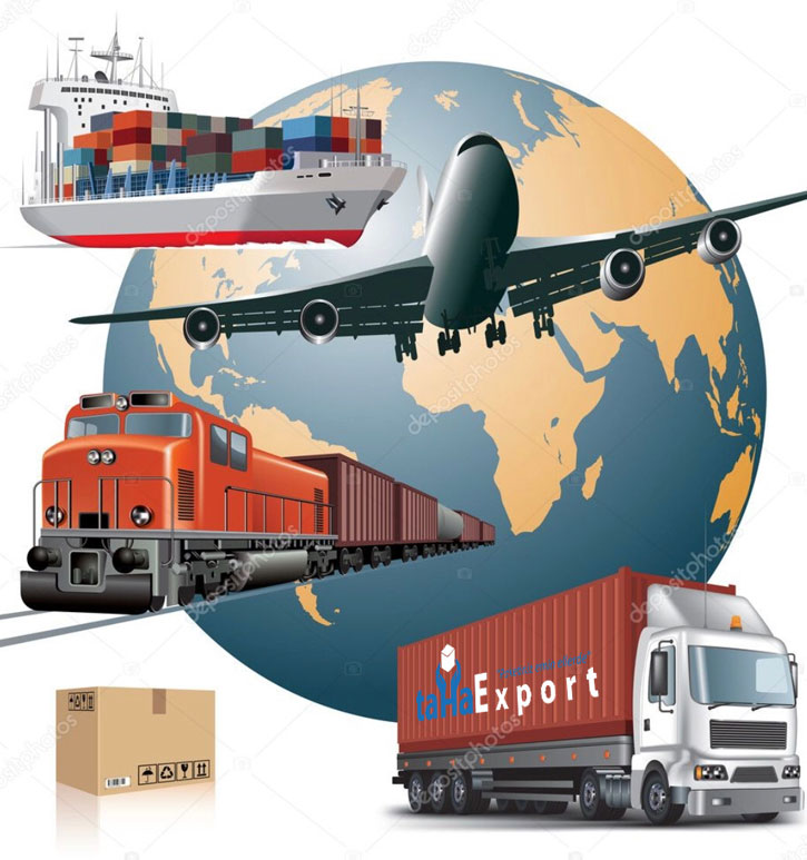 Global Taşımacılık